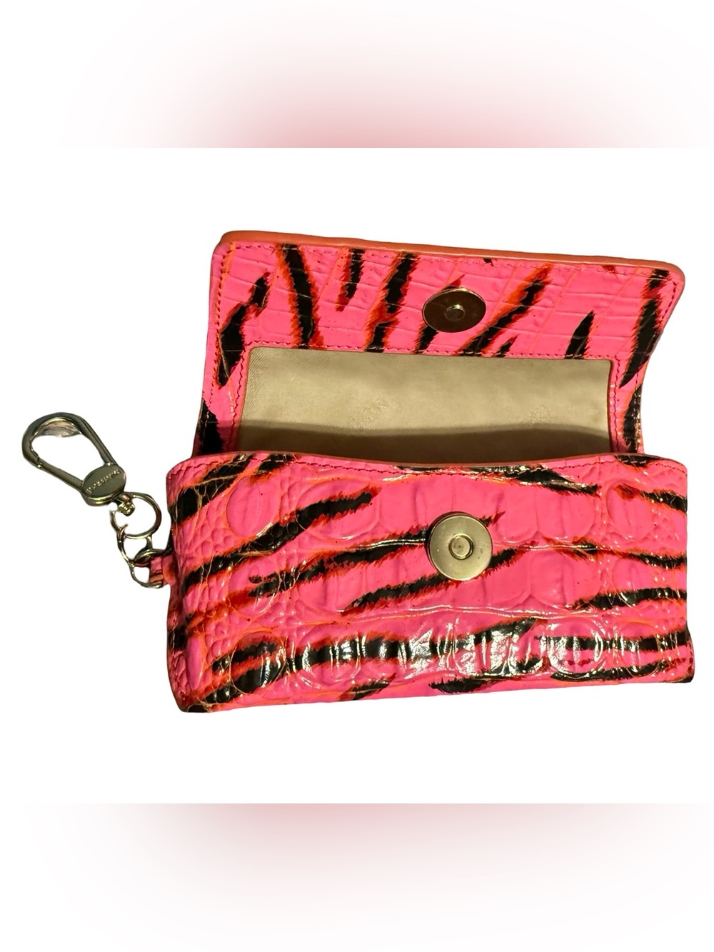 Brahmin Elora in Pink Feline Ombre - Picture 4 of 5